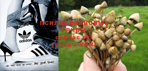 эйфоретик Аркадак