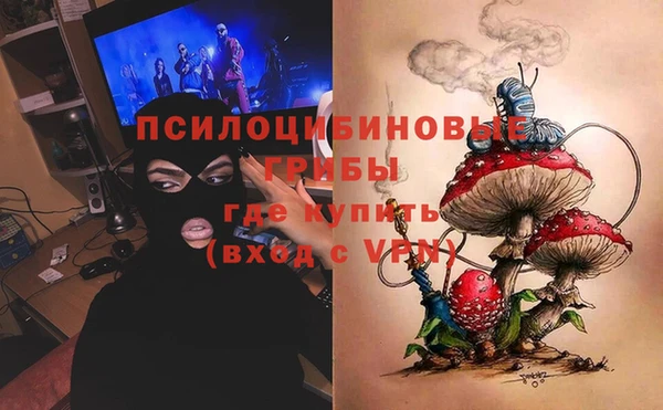 эйфоретик Аркадак