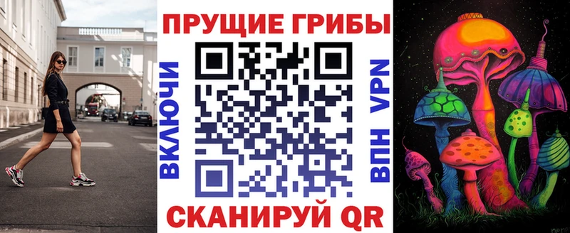 закладка  Карпинск  Псилоцибиновые грибы MAGIC MUSHROOMS 